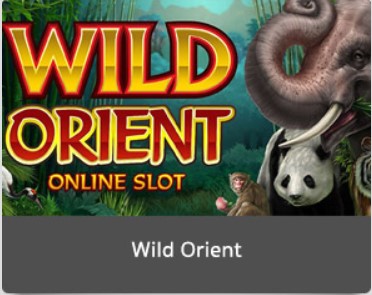 Wild Orient | LuckyNiki
